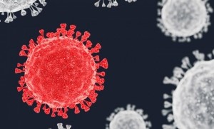 Responding to the Coronavirus Outbreak – An Update