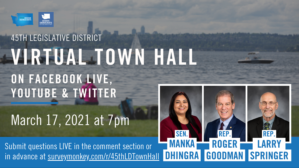 Dhingra, Springer, Goodman to hold virtual town hall March 17