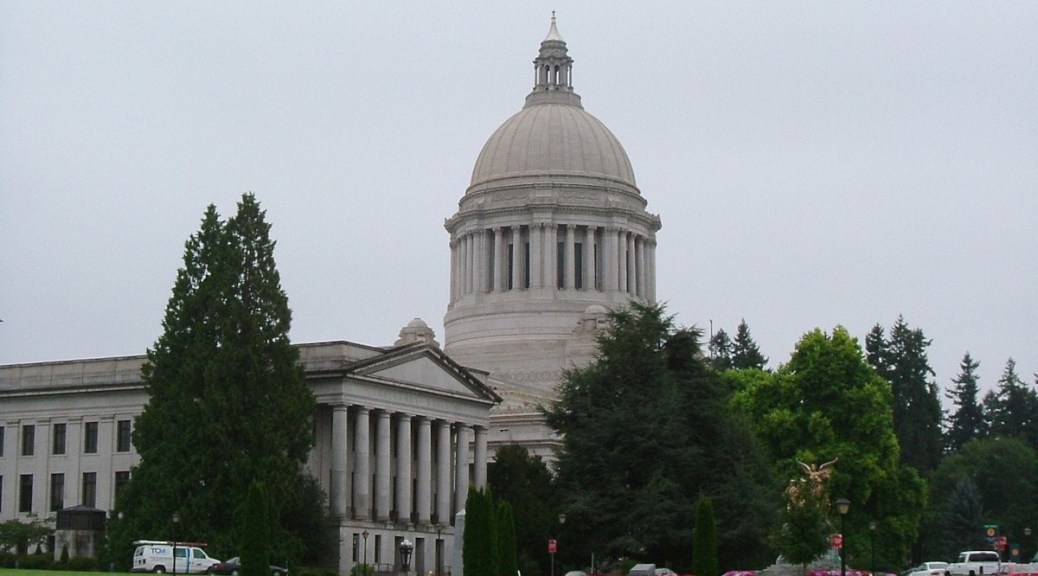 South Seattle Emerald: South End Legislators Discuss Their Priorities During the 2021 Legislative Session