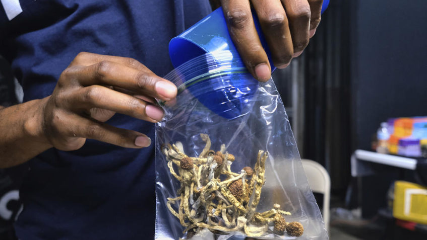 A vendor bags psilocybin mushrooms at a pop-up cannabis market in Los Angeles, May 24, 2019. Voters in Oregon implemented a groundbreaking law in February 2021 to decriminalize most drug use in the state. Washington advocates for criminal justice reform and drug treatment unveiled a similar proposal on Feb. 4, 2021, to do the same thing on this side of the Columbia River. (Richard Vogel/AP)