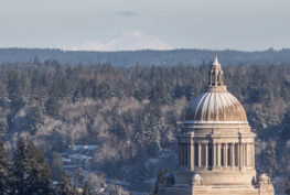 A photograph of the Washington state capitol building rotunda.