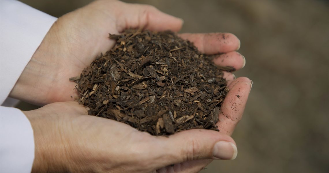 NBC News: Washington could become the first state to legalize human composting.