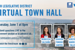 Graphic announcing the 37th Legislative District's Virtual Town Hall on Tuesday, June 1 at 6 pm