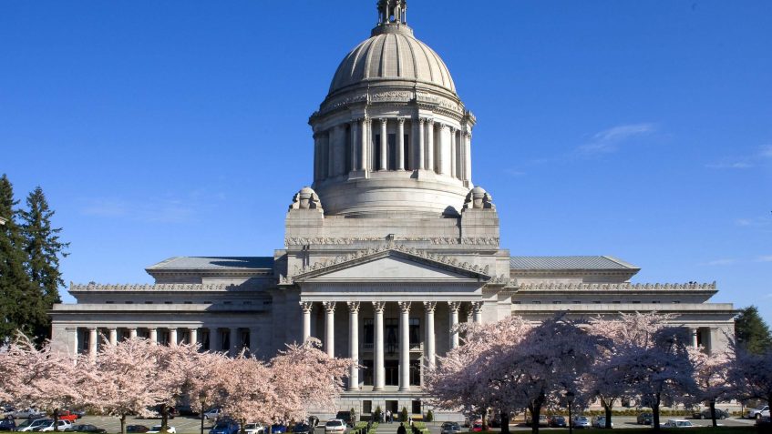 View of Washington State Capitol building with surrounding cherry trees in bloom with pink blossoms. The sky is clear and deep blue.