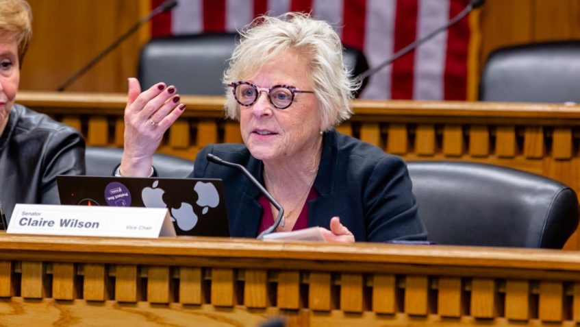 Sen. Wilson speaks, gesturing with her right hand, while seated at a desk in a Senate hearing room. Stripes from the American flag hanging on the wall behind her are visible.