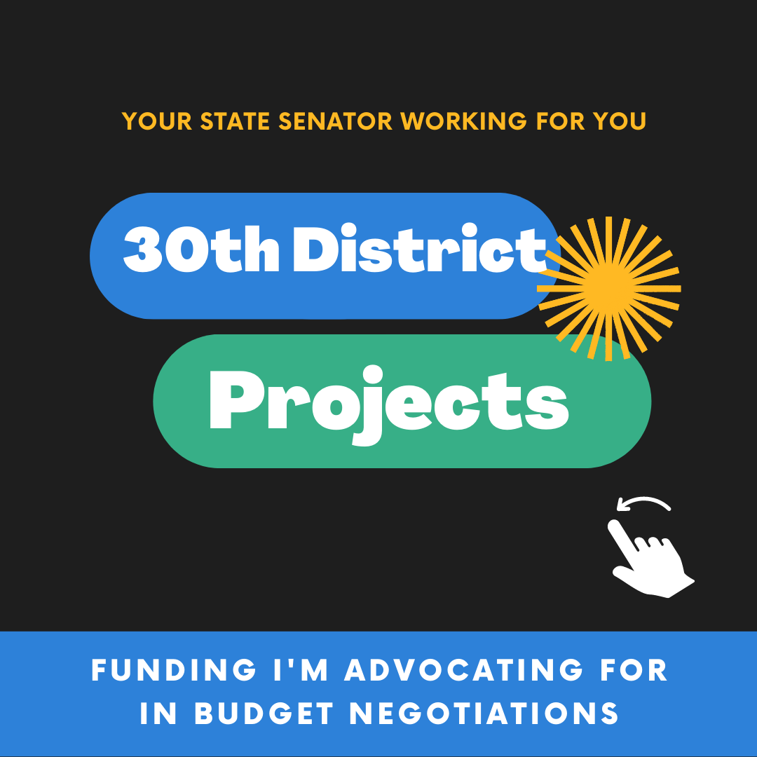 Image description: Graphic on black background with blue and green ovals containing white text: 30th District Projects. Orange words at the top: Your state senator working for you. Blue rectangle at the bottom with white text: Funding I'm advocating for in budget negotiations.